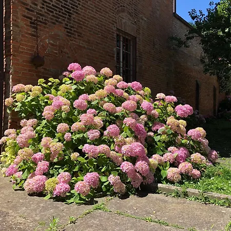 Palazzo Sabbioni Romantica Della Duchessa