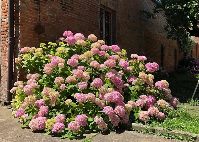 Palazzo Sabbioni Romantica Della Duchessa